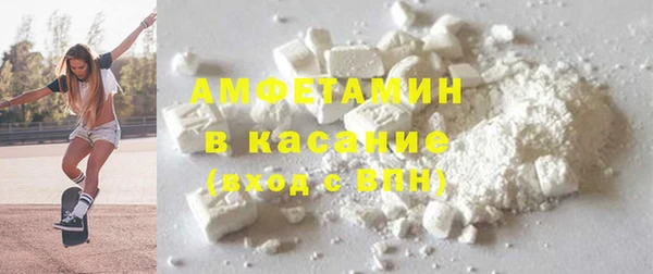 индика Осинники