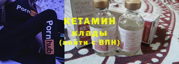 индика Осинники