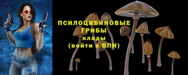 бошки Алексин