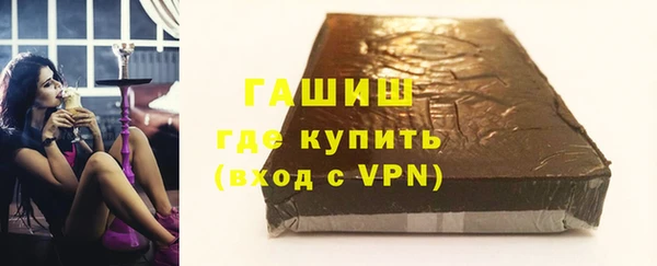 индика Осинники