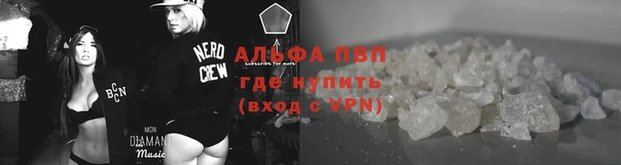 ПСИЛОЦИБИНОВЫЕ ГРИБЫ Осташков
