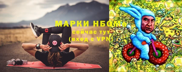 бошки Алексин