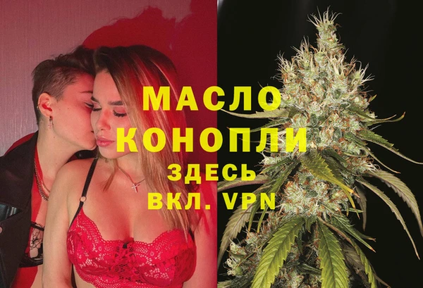 индика Осинники