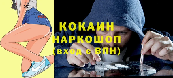 бошки Алексин