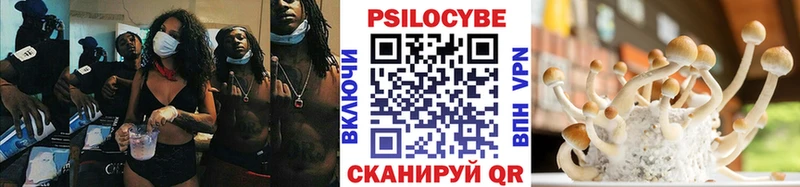 купить закладку  Нерехта  Псилоцибиновые грибы Psilocybe 